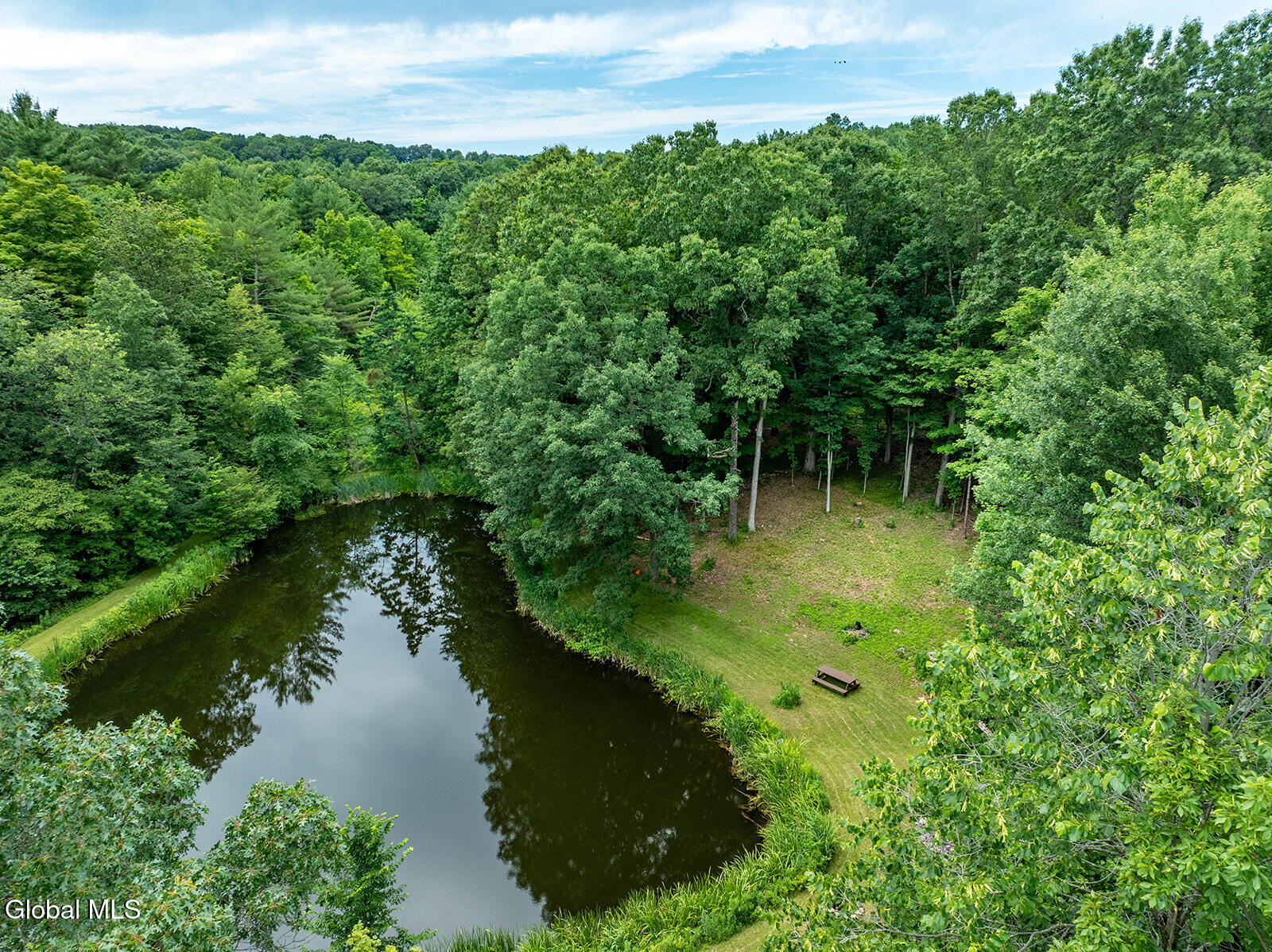 203 Center Road White Creek, NY 12057 - Photo 42 of 51 DJI_0001-HDR