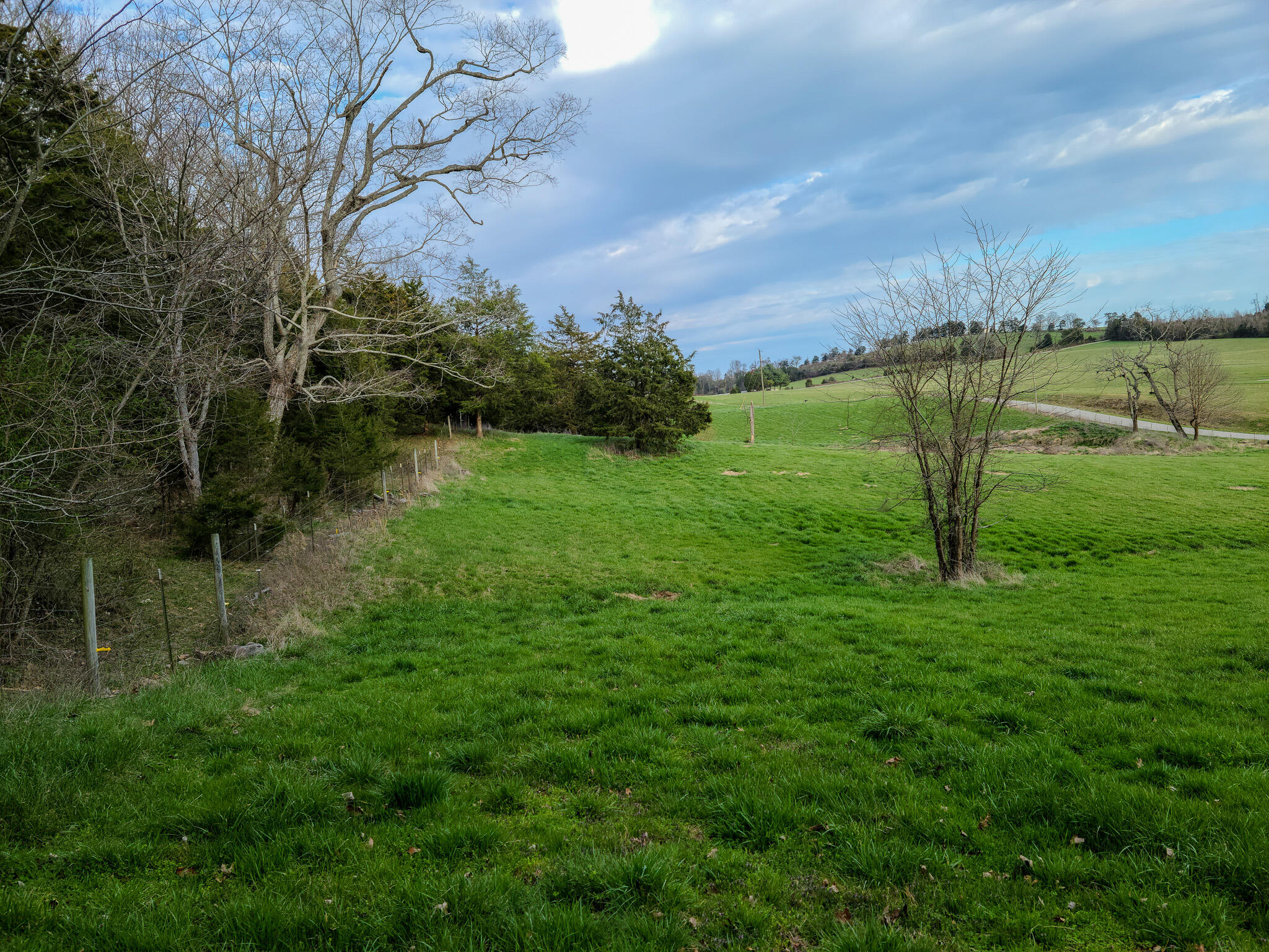 0 Godbey Road Bethelridge, KY 42516 - Photo 10 of 12 20240320_182653