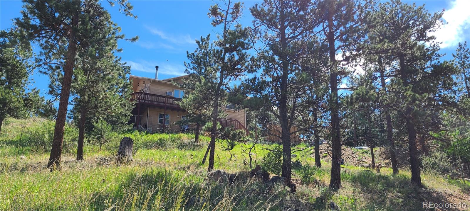 a backyard of a house with lots of green space