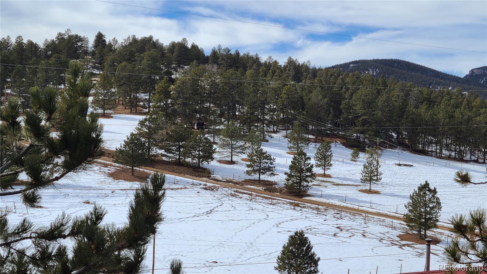445 Rosalie Road Bailey, CO 80421 - Photo 17 of 21 a view of a city