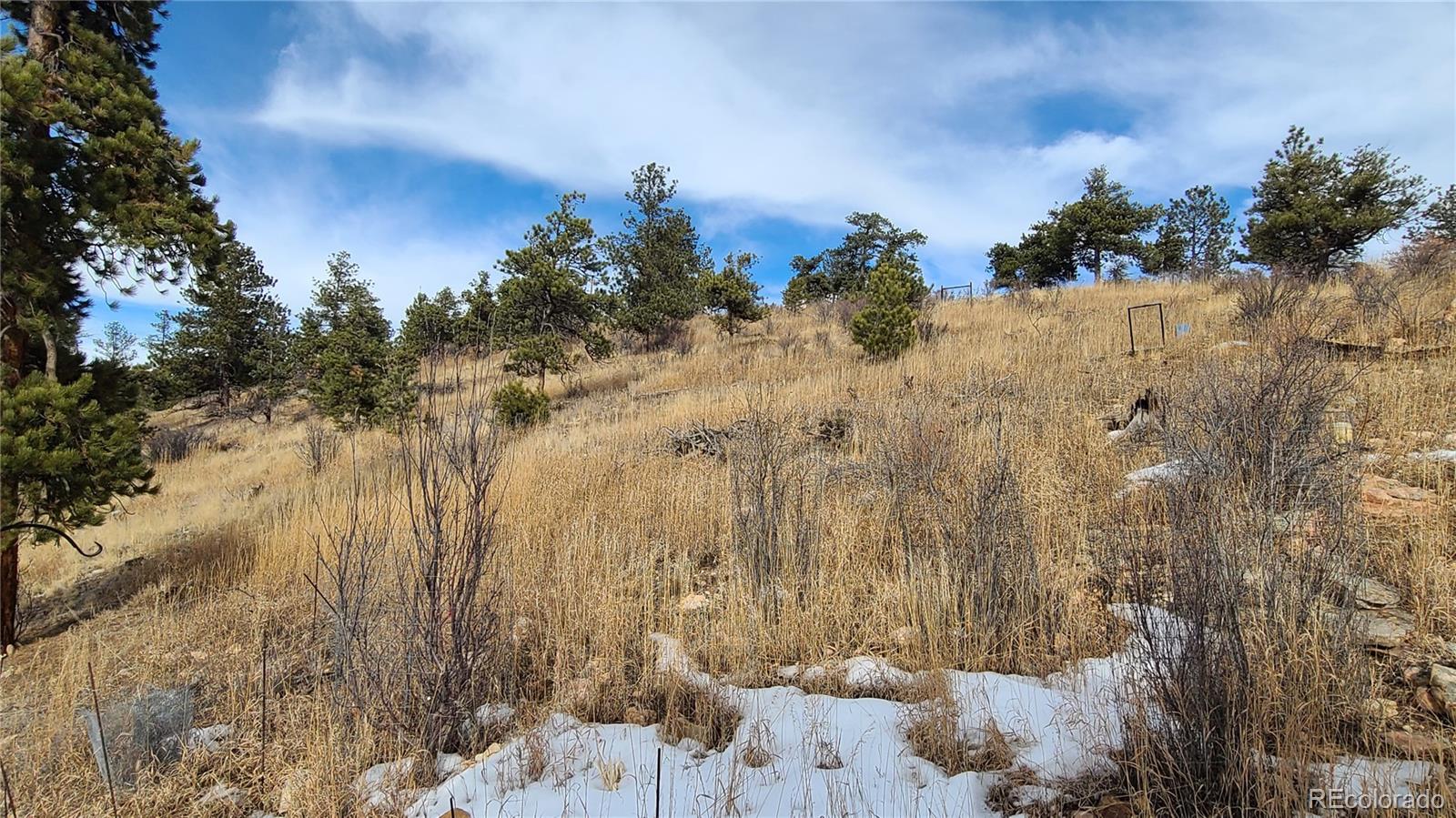 445 Rosalie Road Bailey, CO 80421 - Photo 18 of 21 a view of a yard with trees in the background