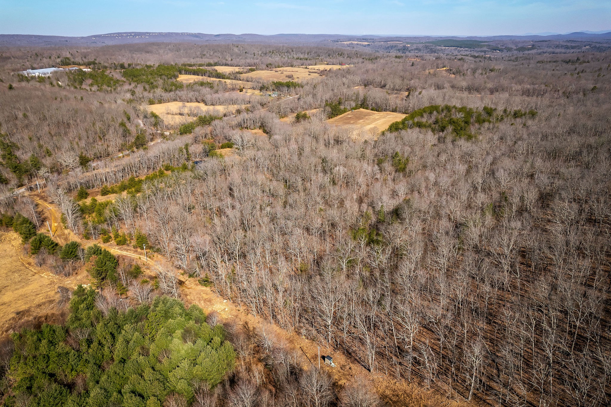 0 Hebbertsburg Road Crab Orchard, TN 37723 - Photo 12 of 49