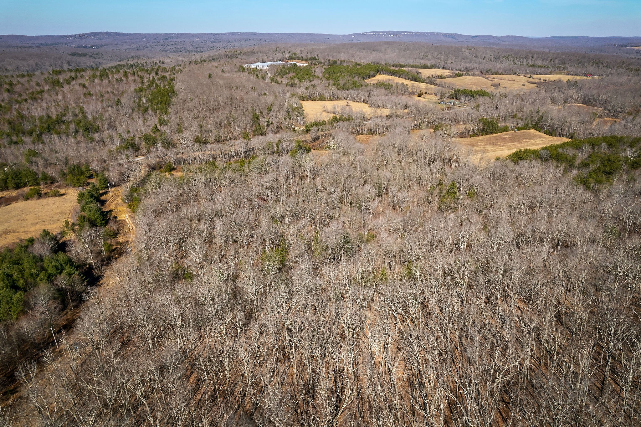 0 Hebbertsburg Road Crab Orchard, TN 37723 - Photo 13 of 49