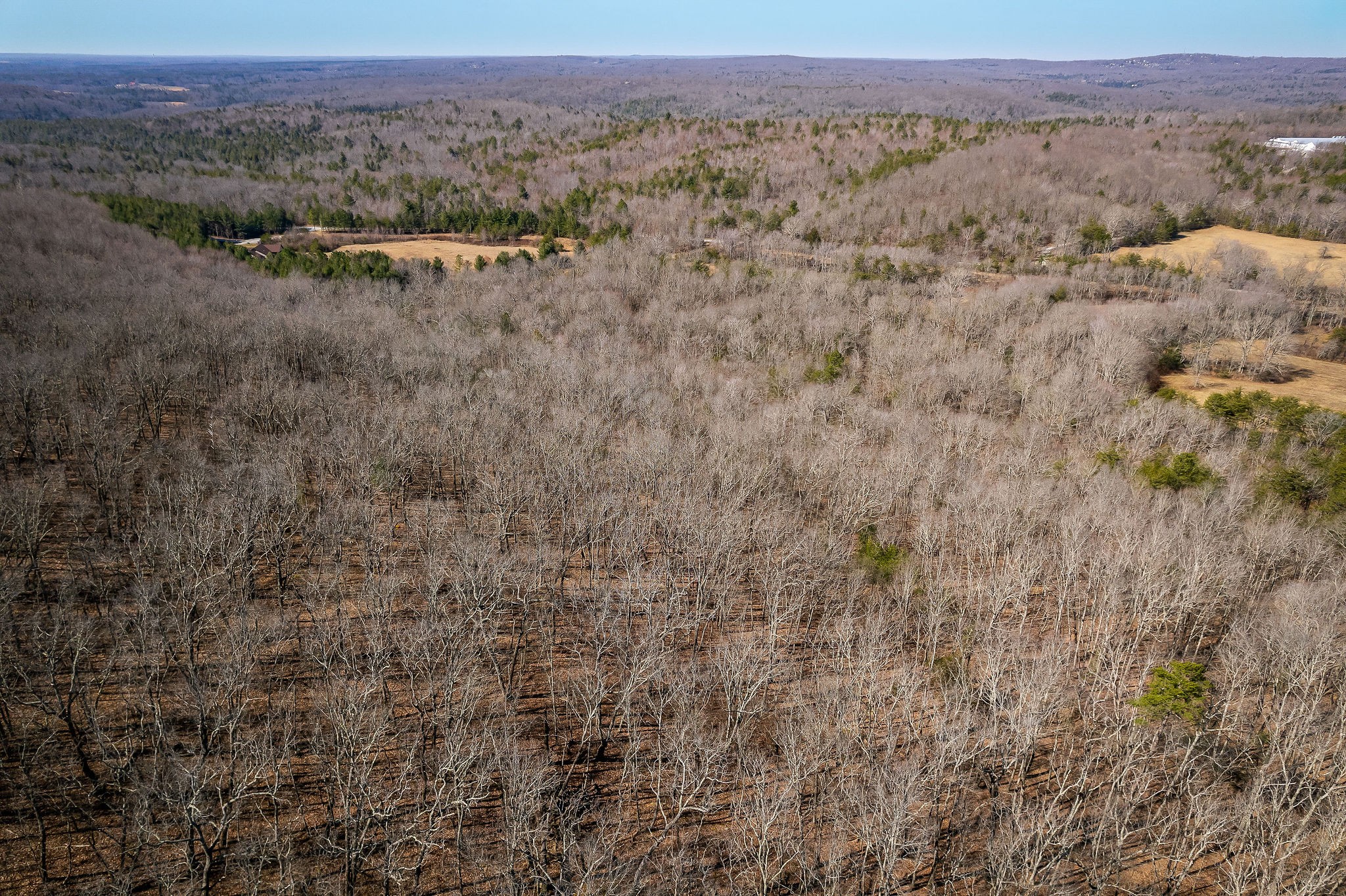 0 Hebbertsburg Road Crab Orchard, TN 37723 - Photo 14 of 49