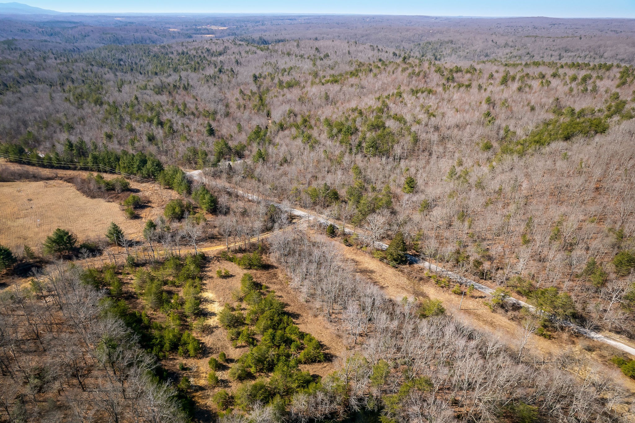 0 Hebbertsburg Road Crab Orchard, TN 37723 - Photo 16 of 49