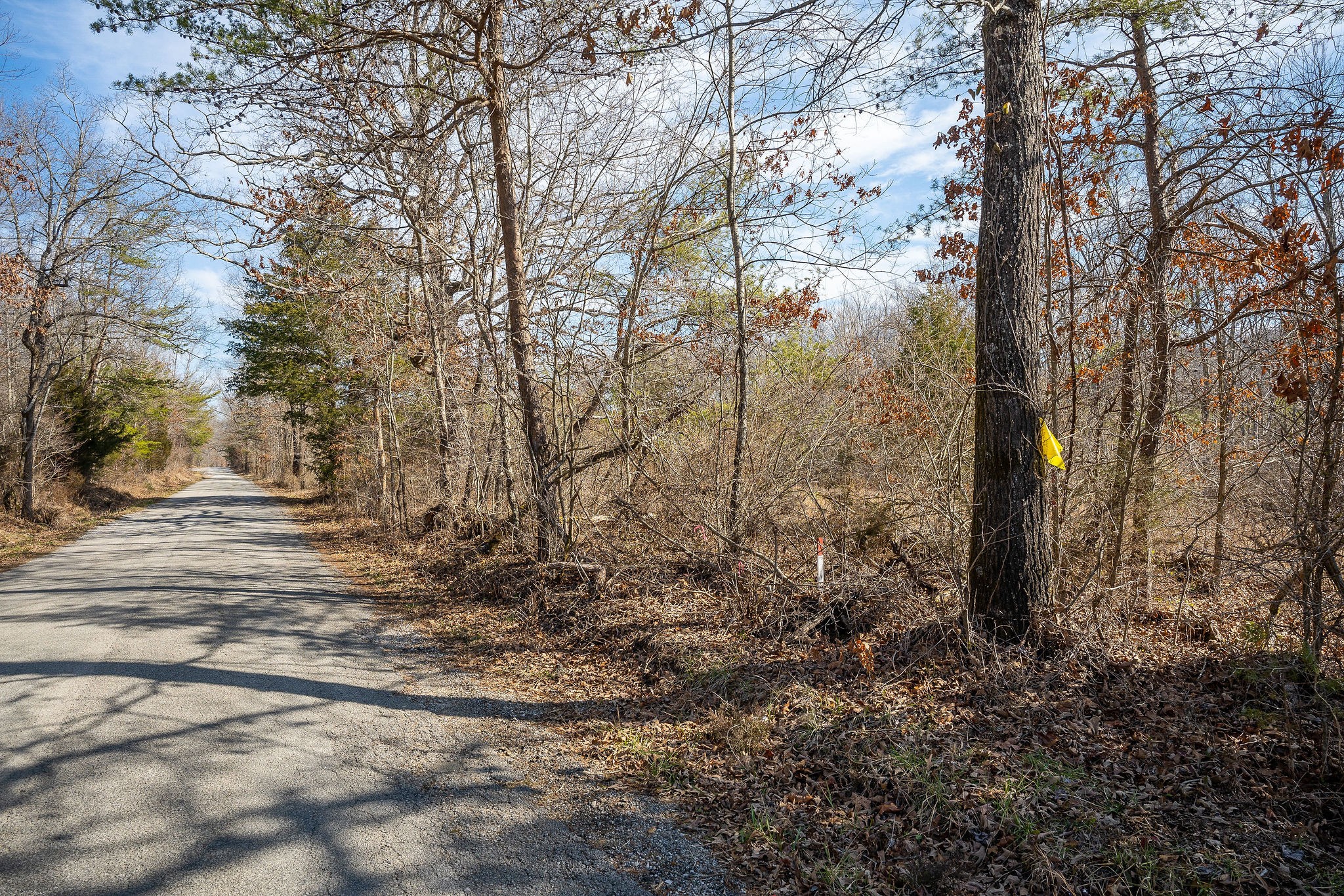 0 Hebbertsburg Road Crab Orchard, TN 37723 - Photo 17 of 49