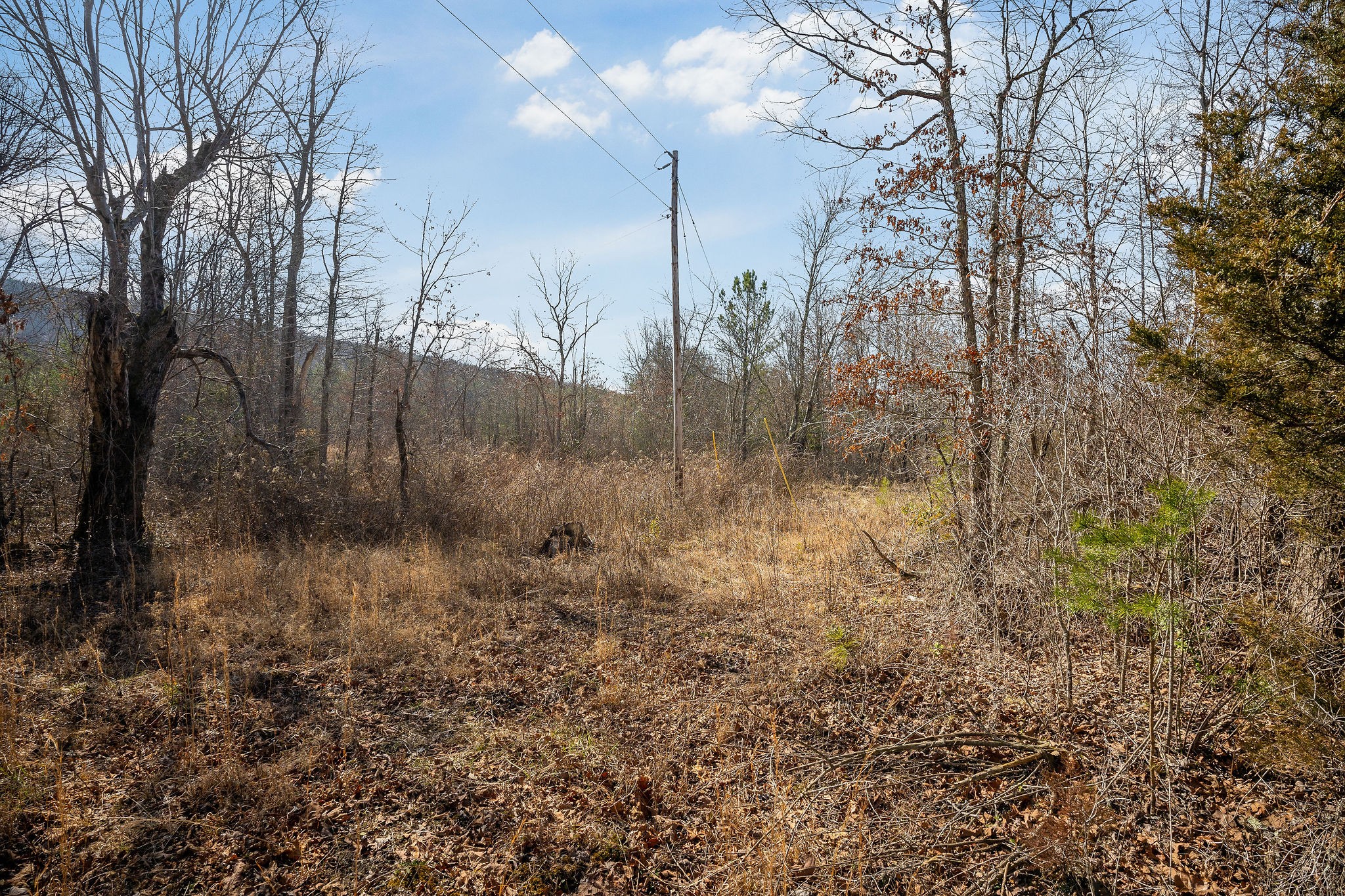 0 Hebbertsburg Road Crab Orchard, TN 37723 - Photo 18 of 49