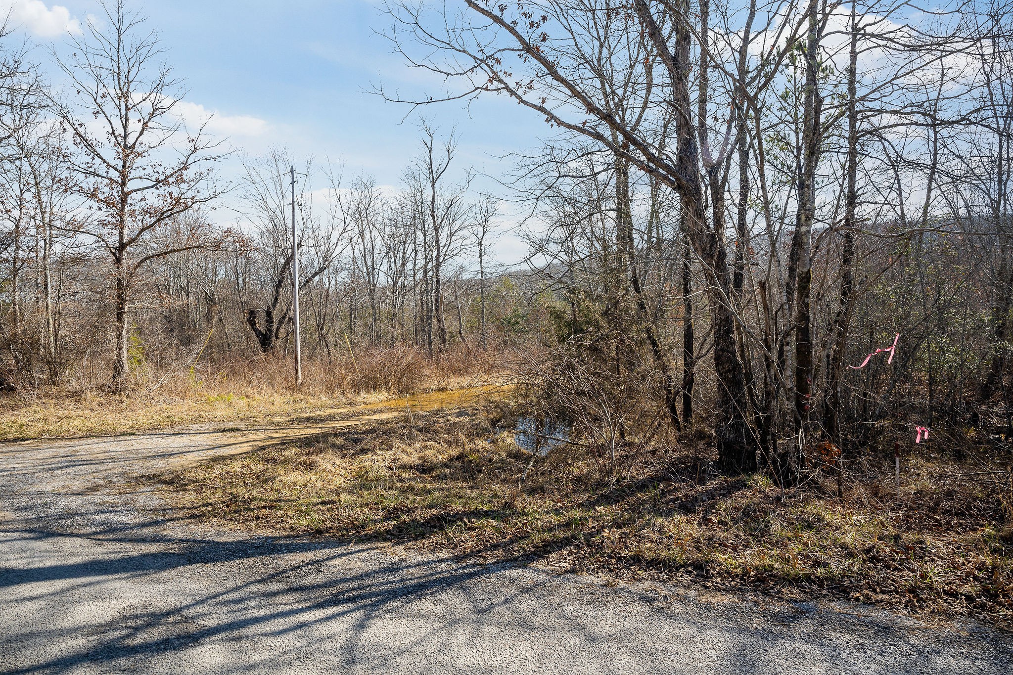 0 Hebbertsburg Road Crab Orchard, TN 37723 - Photo 19 of 49