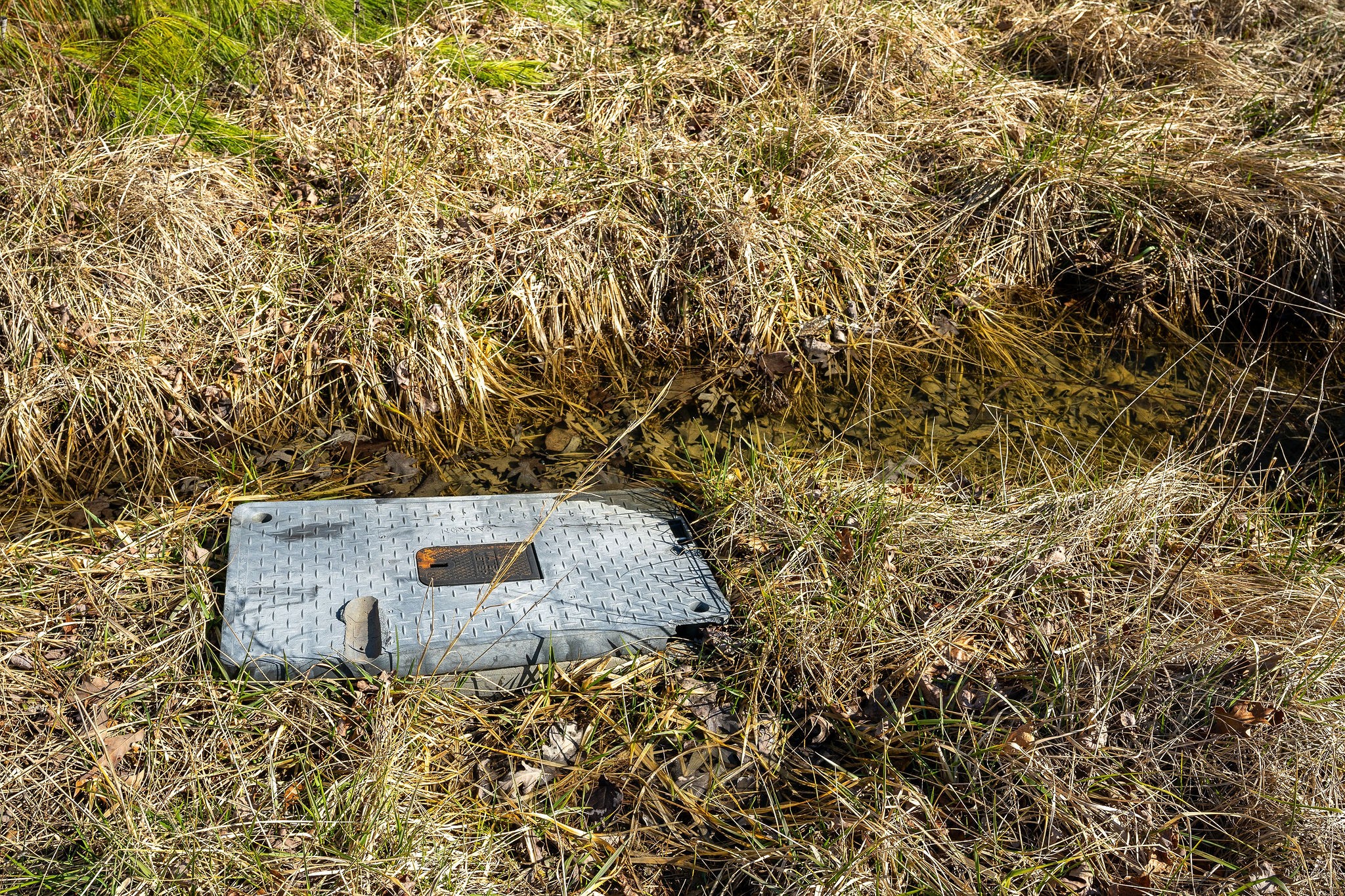 0 Hebbertsburg Road Crab Orchard, TN 37723 - Photo 20 of 49