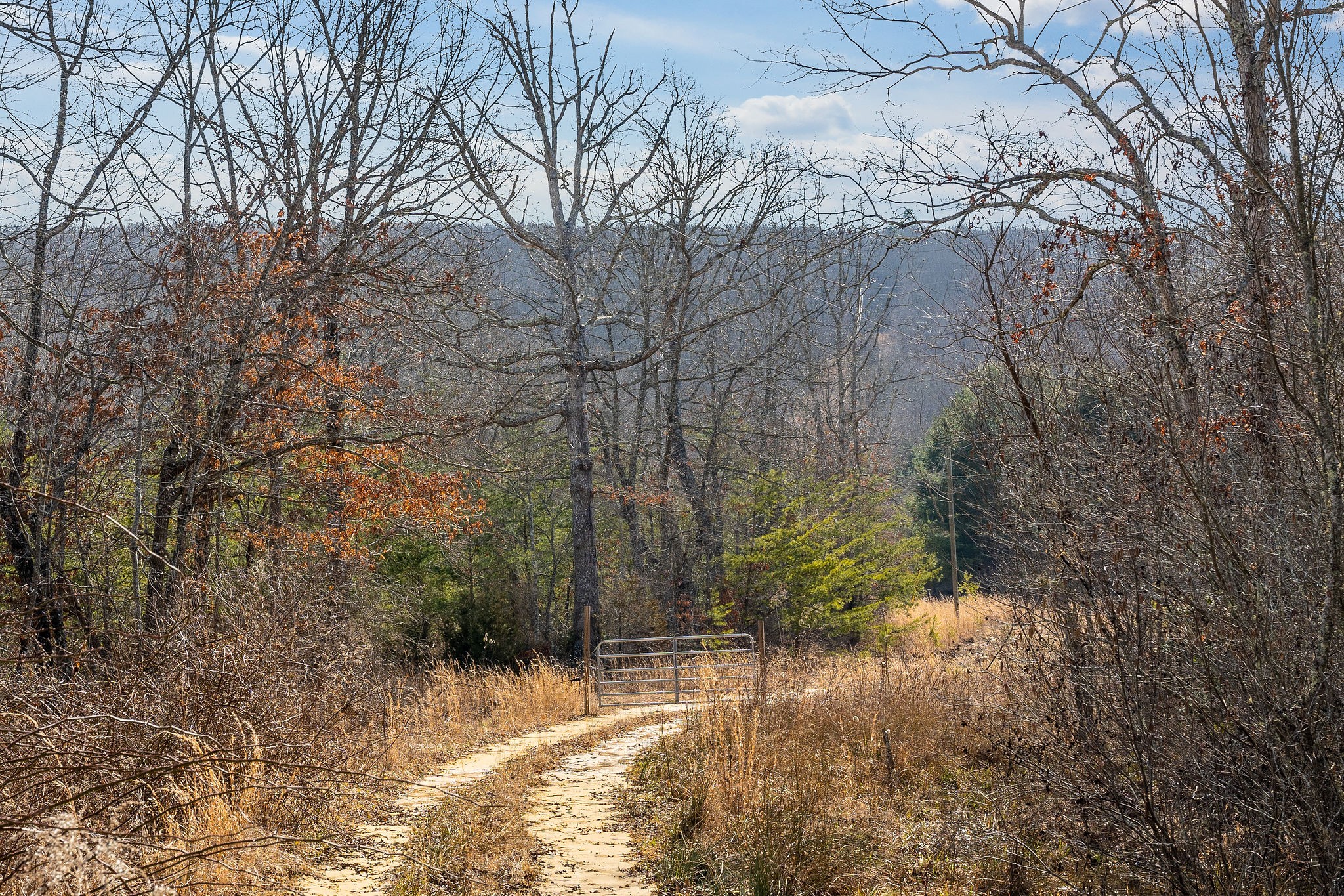 0 Hebbertsburg Road Crab Orchard, TN 37723 - Photo 21 of 49