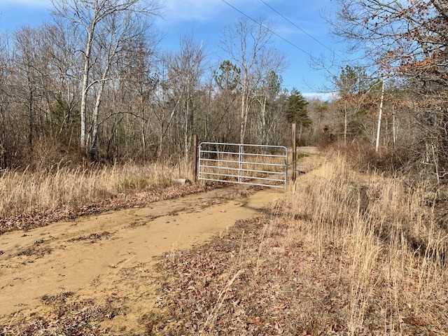0 Hebbertsburg Road Crab Orchard, TN 37723 - Photo 23 of 49