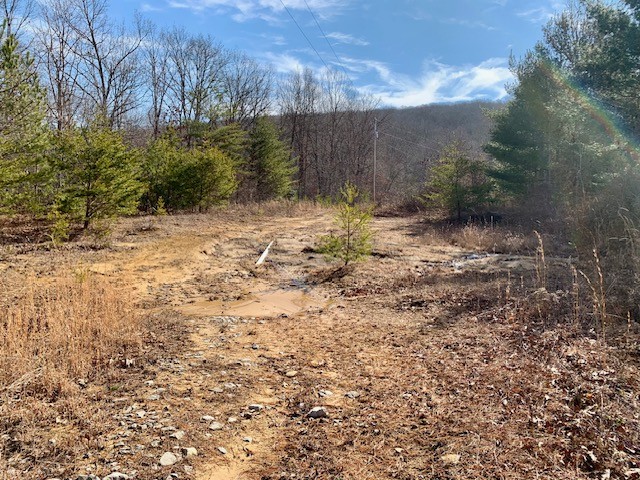 0 Hebbertsburg Road Crab Orchard, TN 37723 - Photo 24 of 49