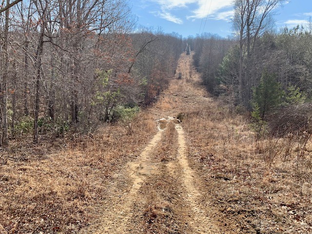 0 Hebbertsburg Road Crab Orchard, TN 37723 - Photo 25 of 49
