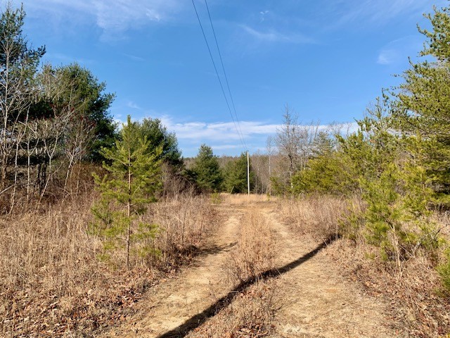 0 Hebbertsburg Road Crab Orchard, TN 37723 - Photo 26 of 49