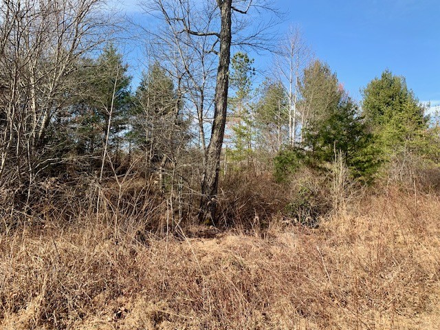 0 Hebbertsburg Road Crab Orchard, TN 37723 - Photo 28 of 49