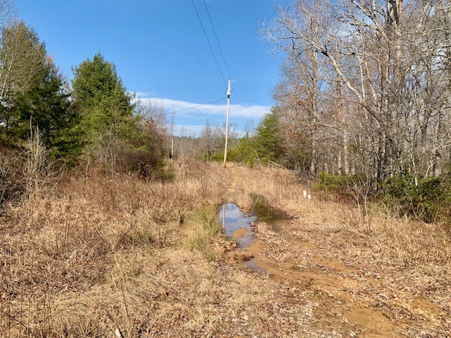 0 Hebbertsburg Road Crab Orchard, TN 37723 - Photo 29 of 49