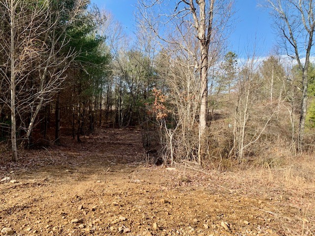 0 Hebbertsburg Road Crab Orchard, TN 37723 - Photo 30 of 49