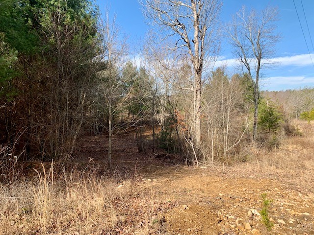 0 Hebbertsburg Road Crab Orchard, TN 37723 - Photo 31 of 49