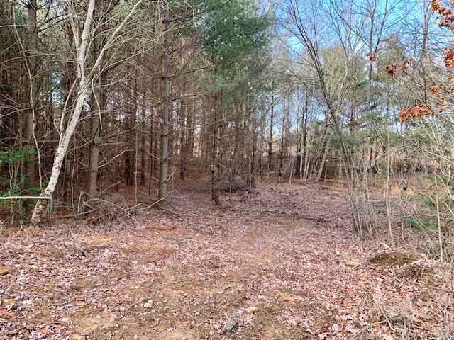 0 Hebbertsburg Road Crab Orchard, TN 37723 - Photo 32 of 49