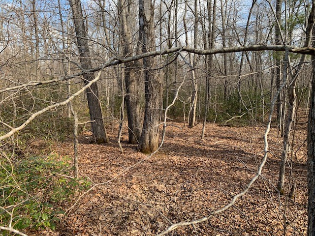 0 Hebbertsburg Road Crab Orchard, TN 37723 - Photo 33 of 49