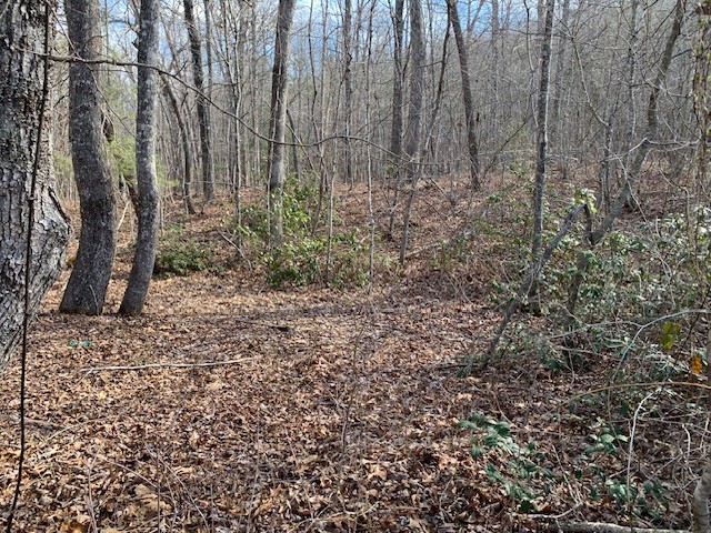 0 Hebbertsburg Road Crab Orchard, TN 37723 - Photo 34 of 49