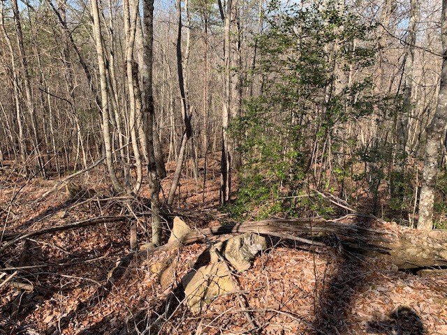 0 Hebbertsburg Road Crab Orchard, TN 37723 - Photo 36 of 49