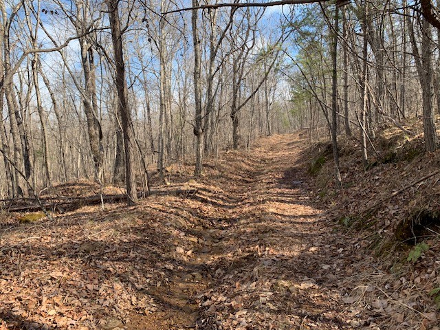 0 Hebbertsburg Road Crab Orchard, TN 37723 - Photo 37 of 49