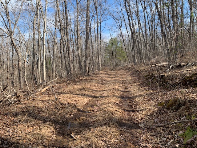 0 Hebbertsburg Road Crab Orchard, TN 37723 - Photo 40 of 49