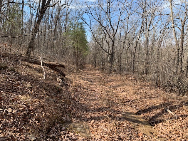 0 Hebbertsburg Road Crab Orchard, TN 37723 - Photo 41 of 49