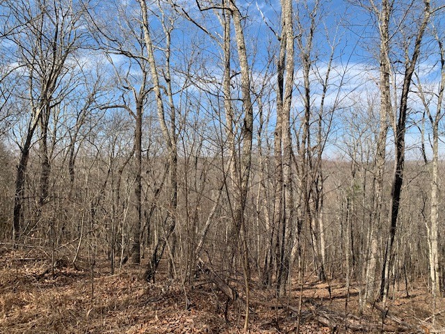 0 Hebbertsburg Road Crab Orchard, TN 37723 - Photo 42 of 49