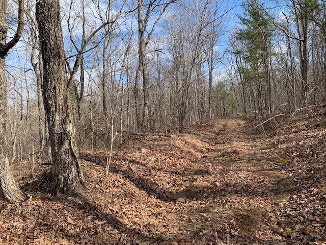 0 Hebbertsburg Road Crab Orchard, TN 37723 - Photo 43 of 49