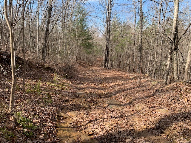 0 Hebbertsburg Road Crab Orchard, TN 37723 - Photo 44 of 49