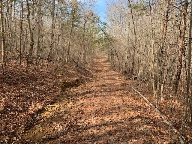 0 Hebbertsburg Road Crab Orchard, TN 37723 - Photo 45 of 49