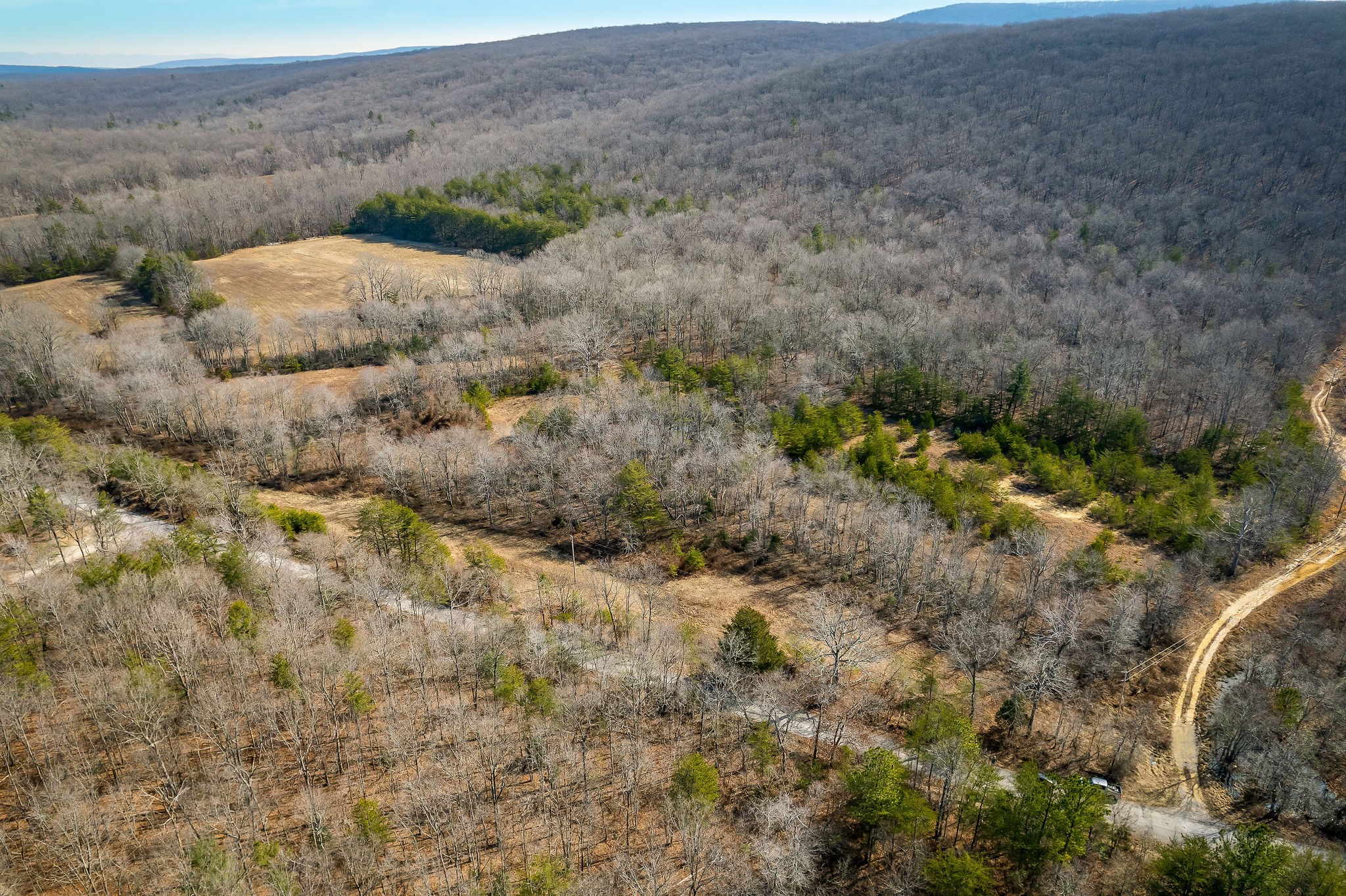 0 Hebbertsburg Road Crab Orchard, TN 37723 - Photo 5 of 49