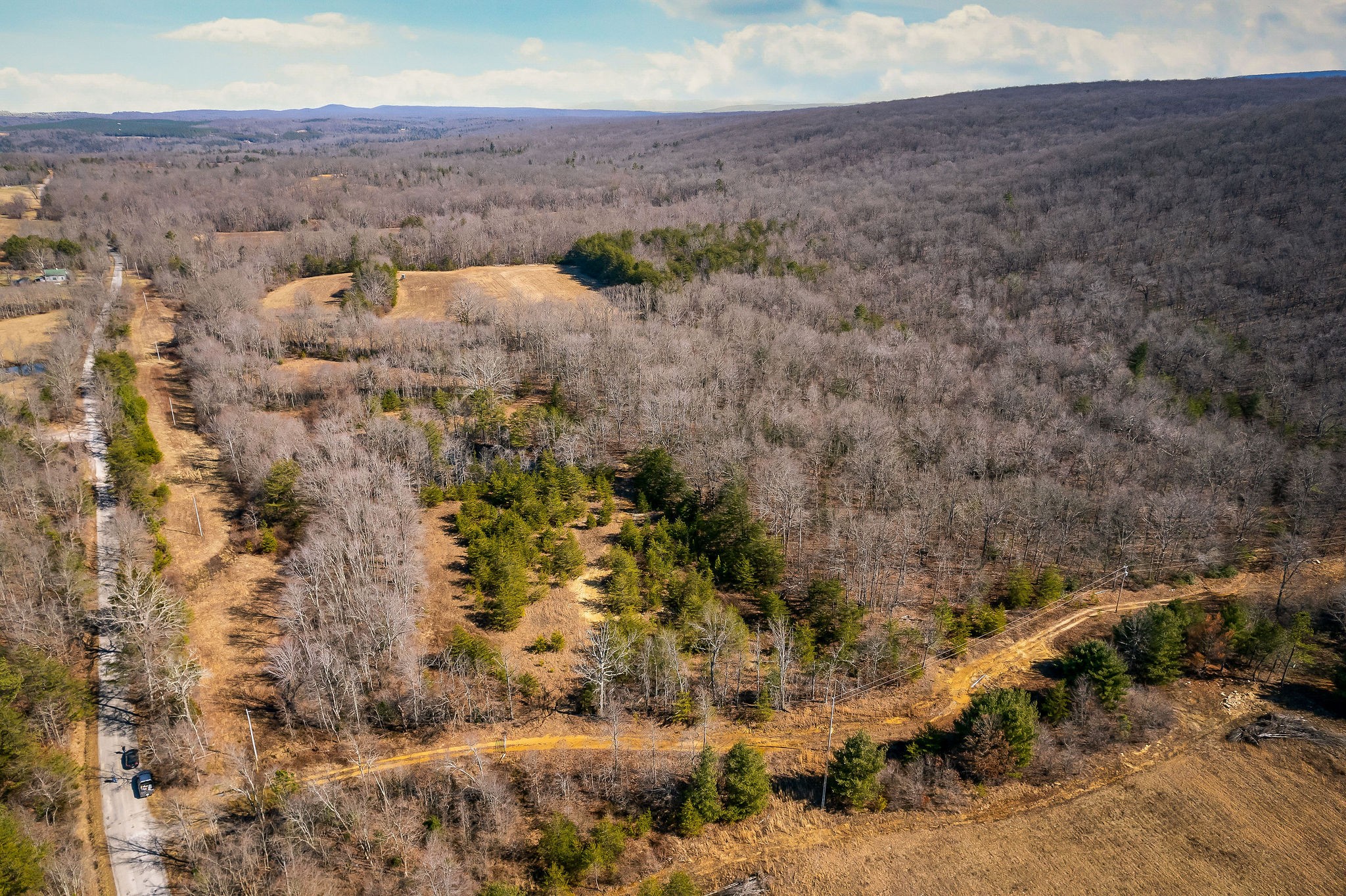 0 Hebbertsburg Road Crab Orchard, TN 37723 - Photo 9 of 49