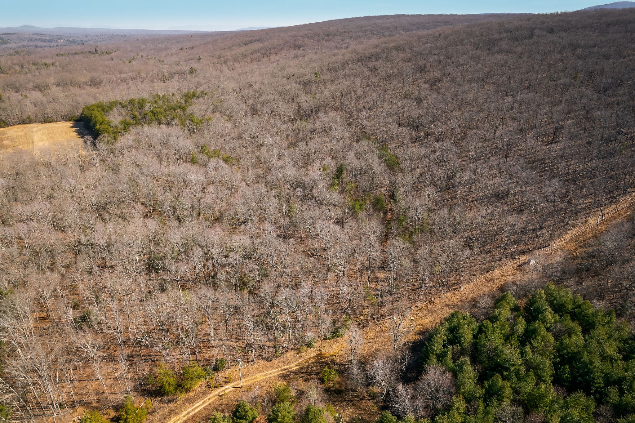 0 Hebbertsburg Road Crab Orchard, TN 37723 - Photo 10 of 49
