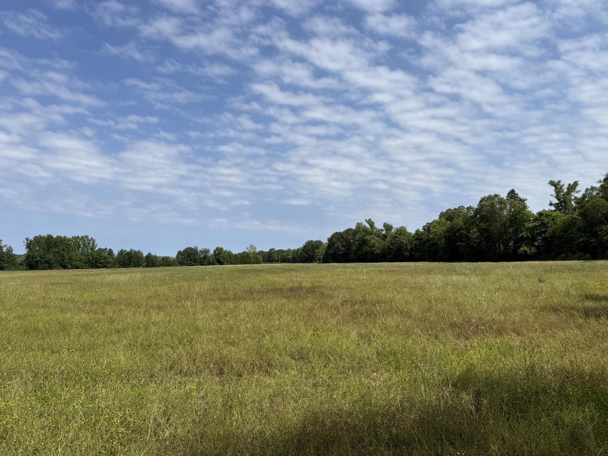 1 Carter Road Saltillo, TN 38370 - Photo 11 of 40 a view of an ocean and beach