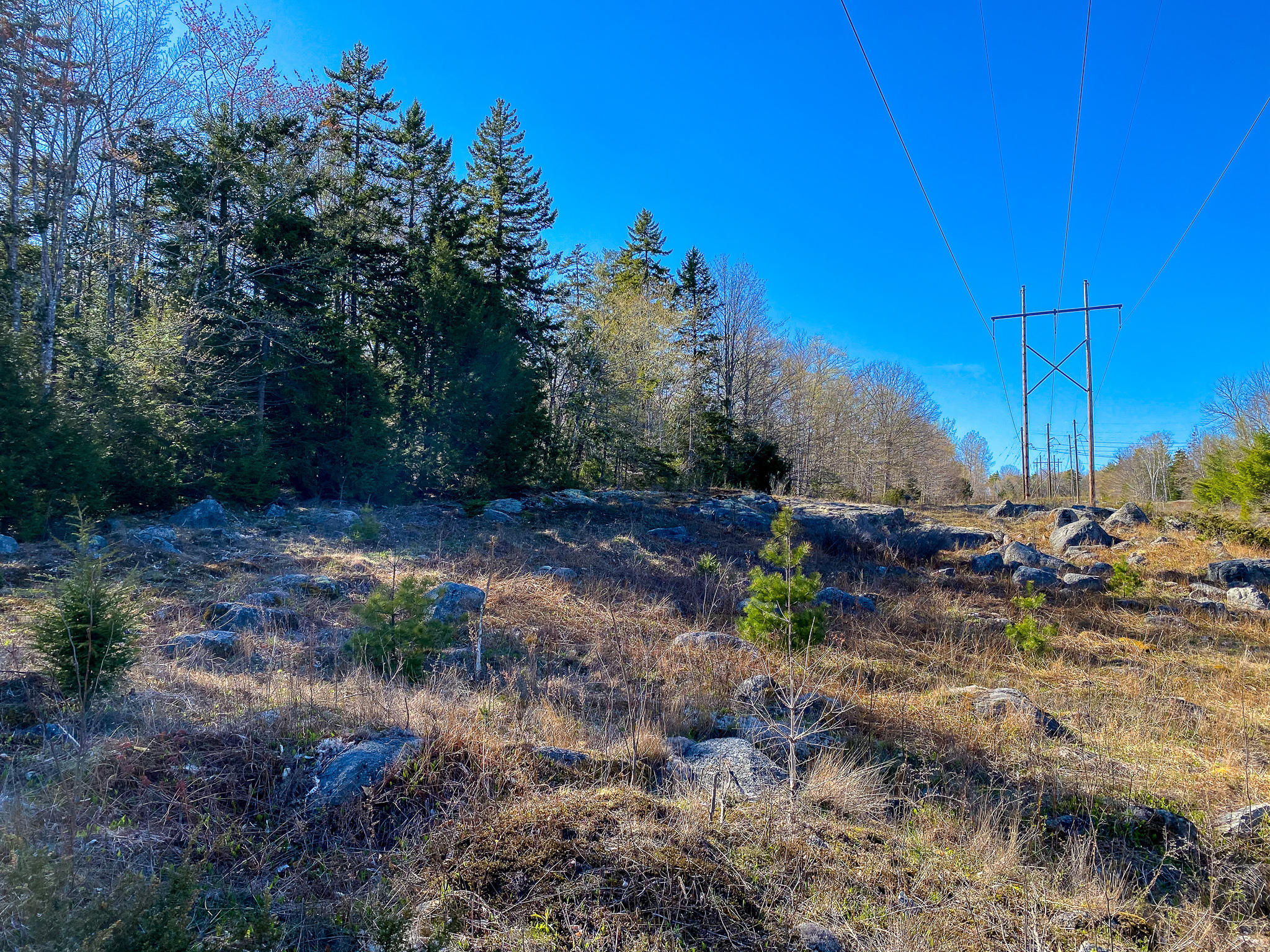 1510 Otis Road Ellsworth, ME 04605 - Photo 5 of 20 IMG_3147