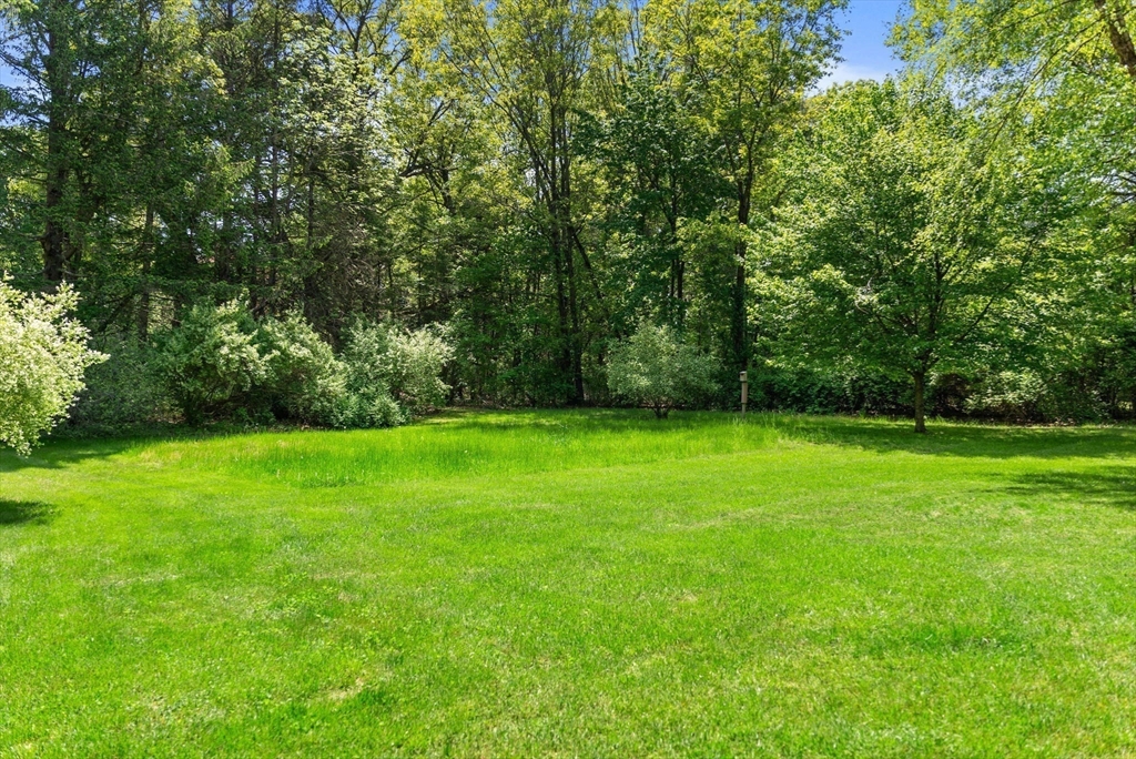120 Lincoln Road Wayland, MA 01778 - Photo 32 of 34 a view of yard with green space