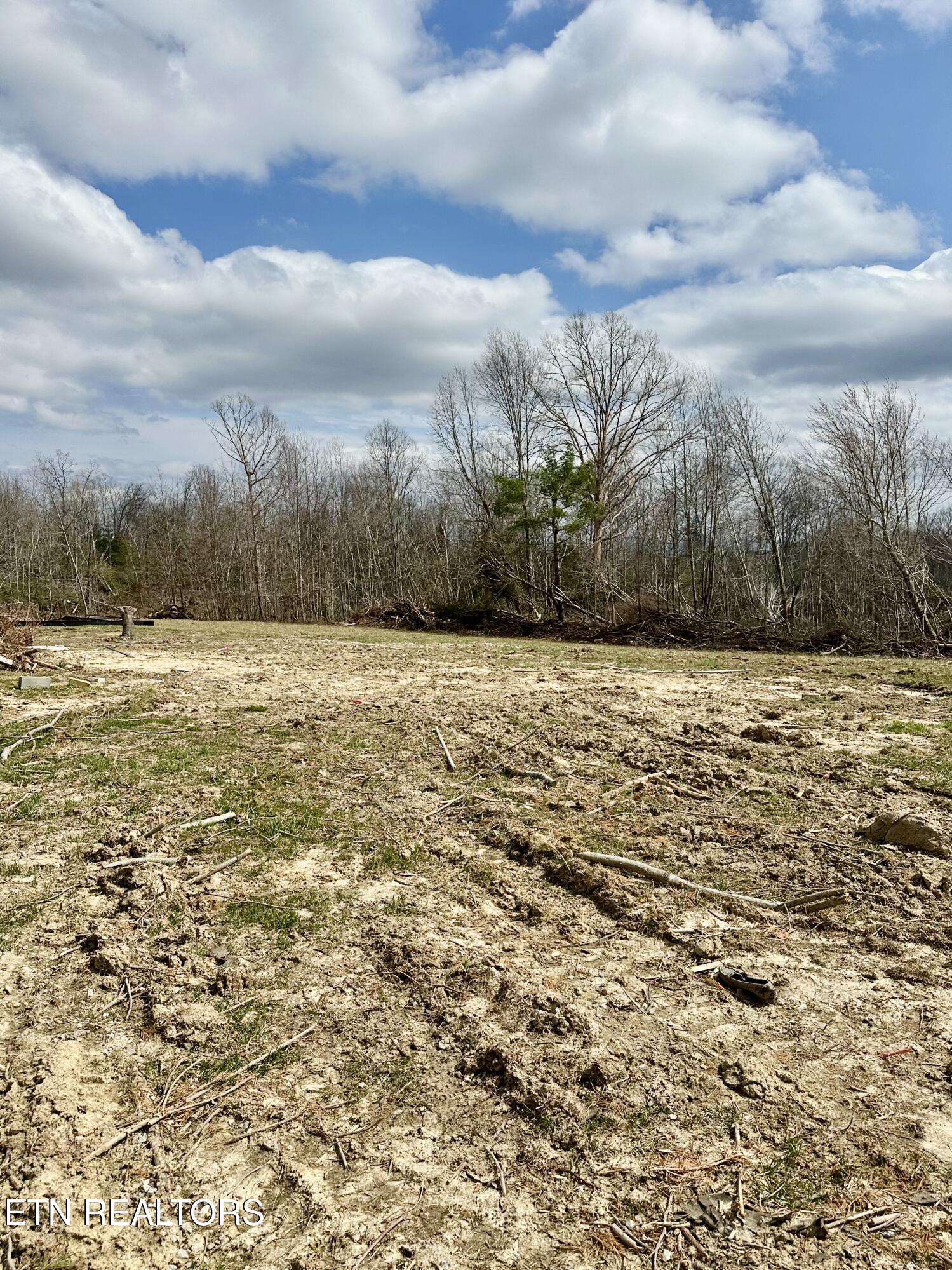 2747 Deer Lodge Highway Deer Lodge, TN 37726 - Photo 5 of 7 IMG_8610