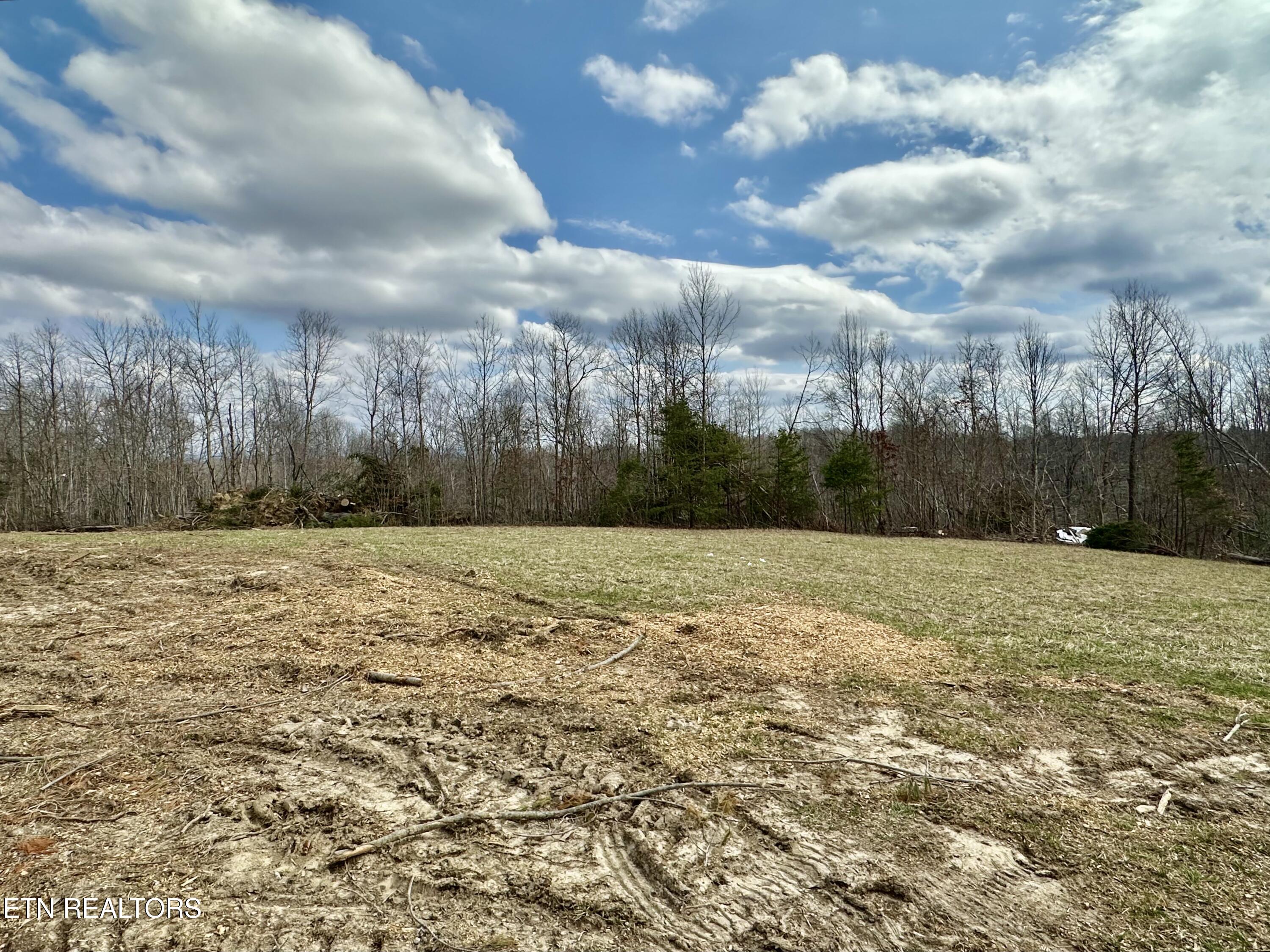 2747 Deer Lodge Highway Deer Lodge, TN 37726 - Photo 7 of 7 IMG_8613