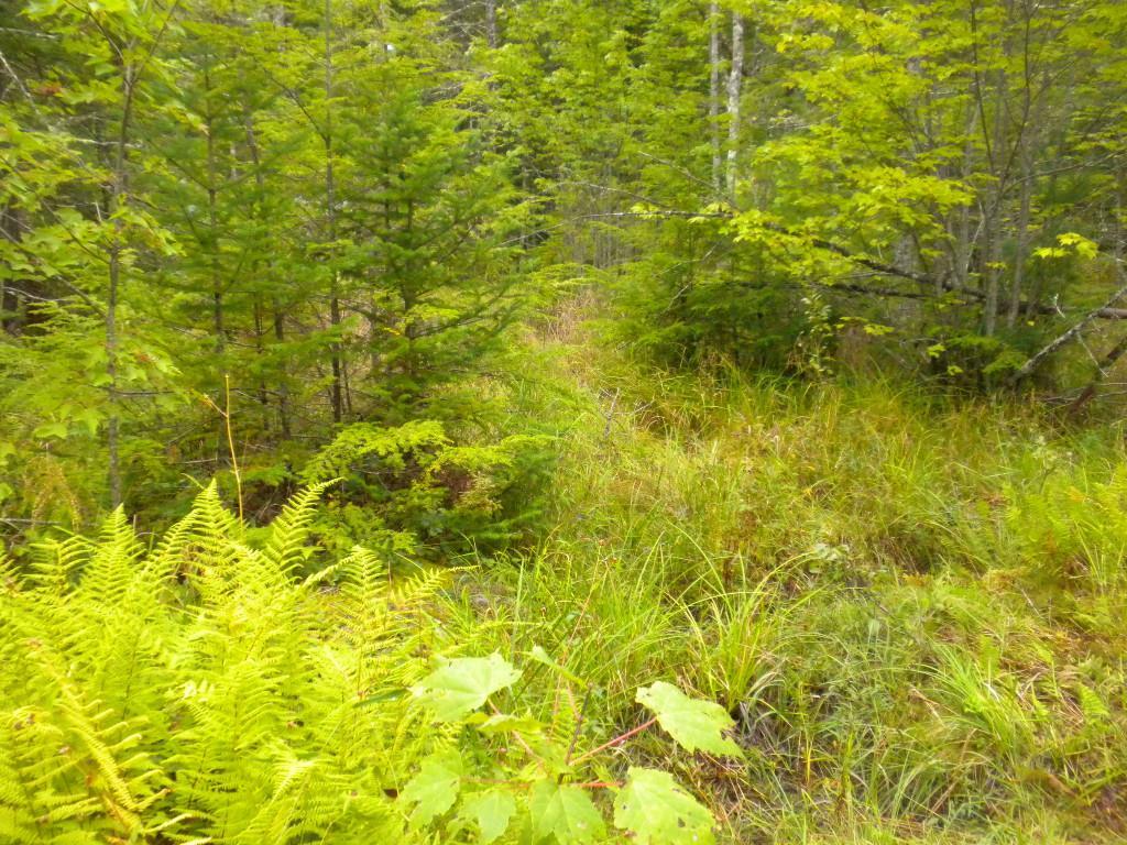7 River Road Limington, ME 04049 - Photo 17 of 26 Photo