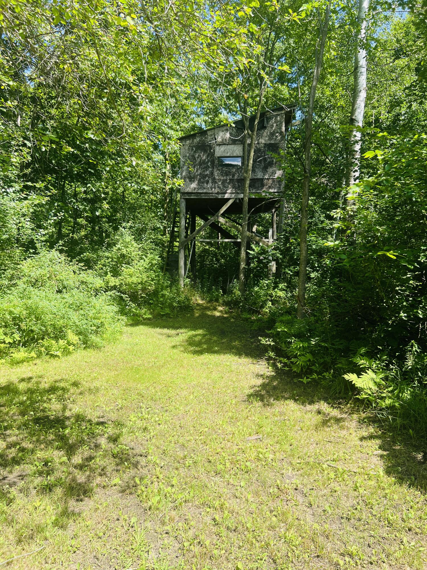 4459 South Kirk Road Vassar, MI 48768 - Photo 38 of 56 IMG_3364