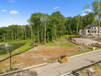 a view of a park with large trees