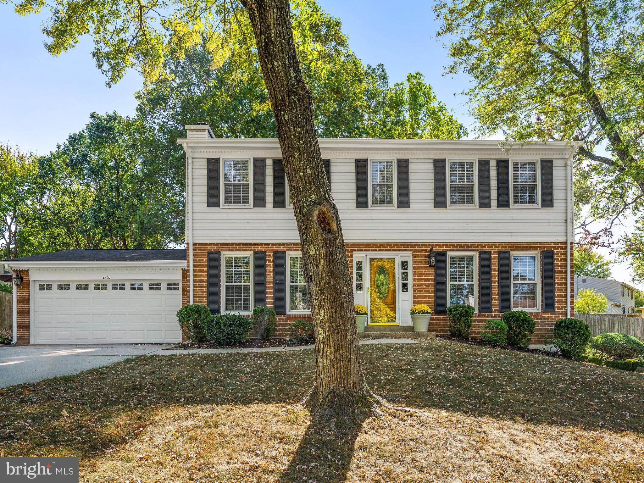 3507 Kings Cross Road Alexandria, VA 22303 - Photo 3 of 60 Gallery Image 3