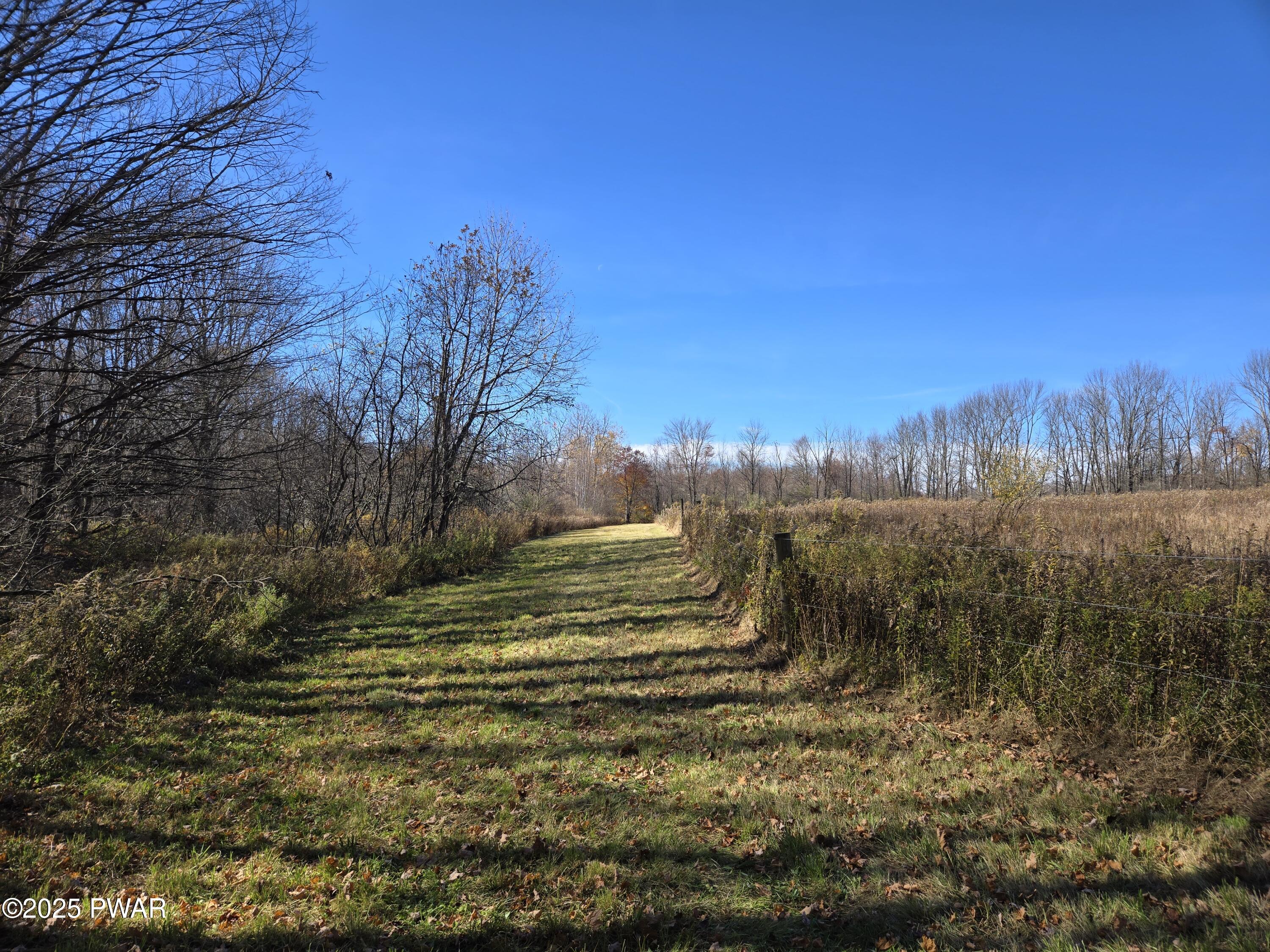 Mican Road Waymart, PA 18472 - Photo 3 of 31