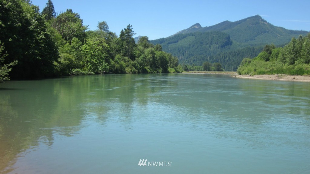 -xxx Cline Road Randle, WA 98377 - Photo 1 of 25 Gallery Image 1