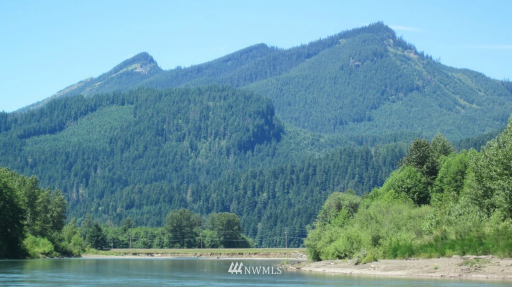 -xxx Cline Road Randle, WA 98377 - Photo 3 of 25 Gallery Image 3