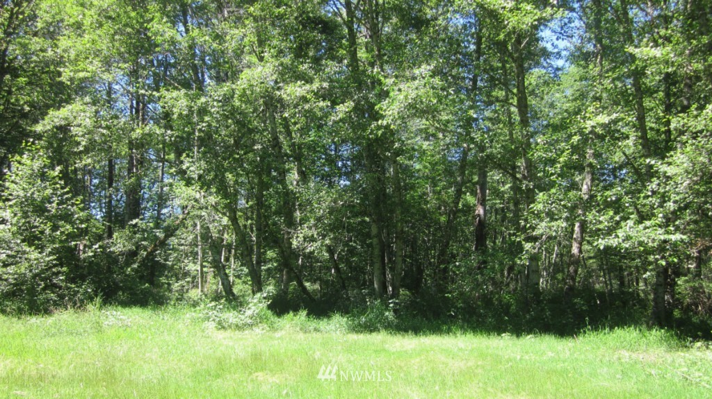 -xxx Cline Road Randle, WA 98377 - Photo 22 of 25 Gallery Image 22