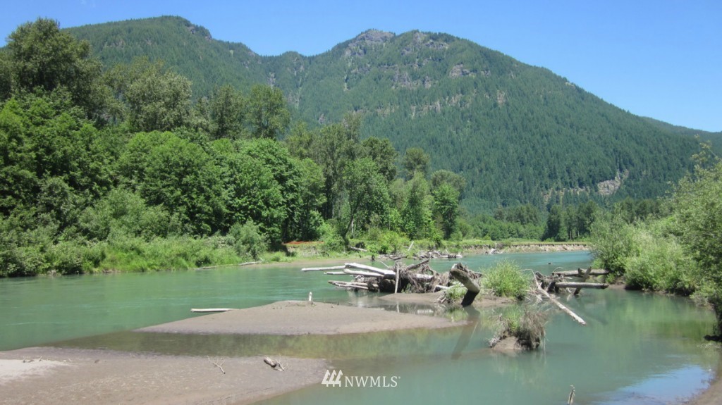 -xxx Cline Road Randle, WA 98377 - Photo 9 of 25 Gallery Image 9
